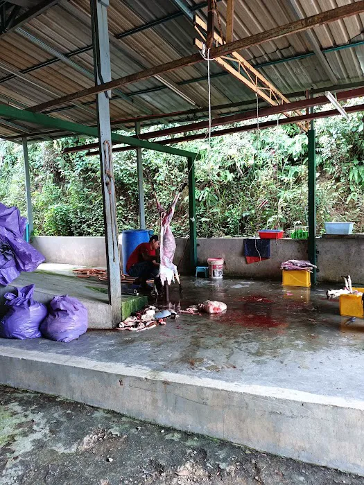 KAMBING YG ANEH ( KANDANG) Picture 8