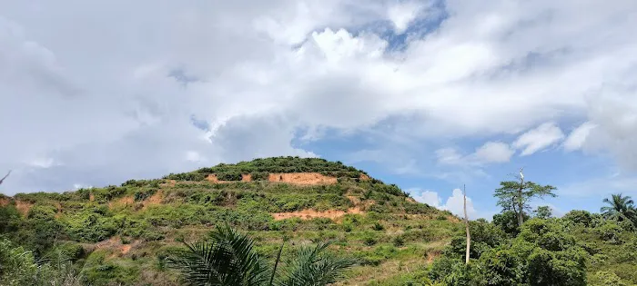 Felcra Palm Oil (Ladang) Bukit Batu Picture 1