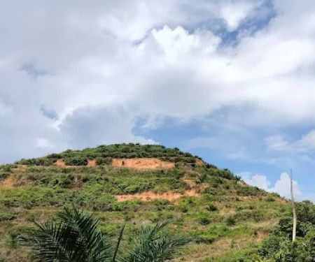 Felcra Palm Oil (Ladang) Bukit Batu