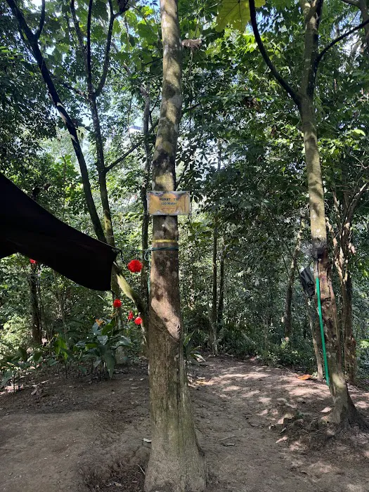 Bukit TM Wangsa Maju Picture 8