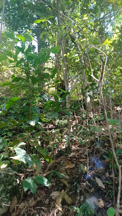 Bukit Tabur Retreat Picture 3