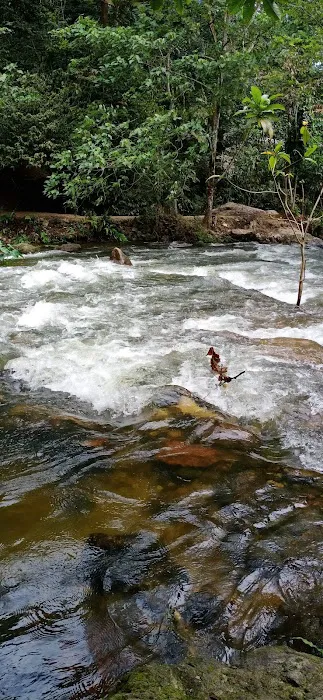 Jungle Pool @ Klang Gates Dam Picture 1