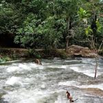 Jungle Pool @ Klang Gates Dam