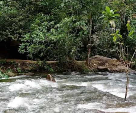 Jungle Pool @ Klang Gates Dam