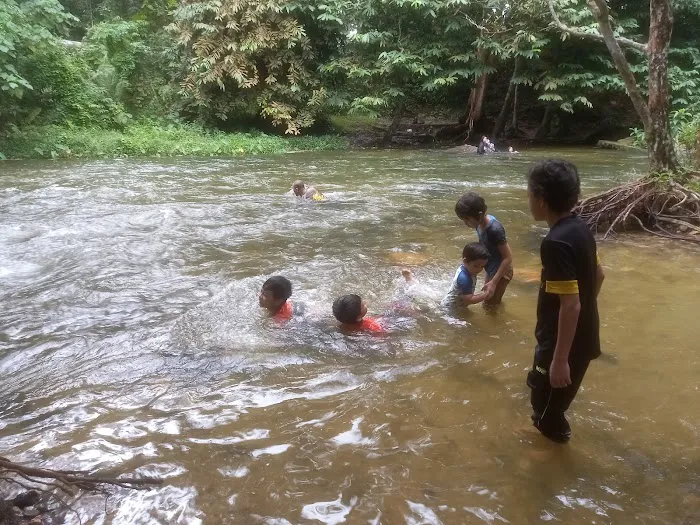 Jungle Pool @ Klang Gates Dam Picture 6