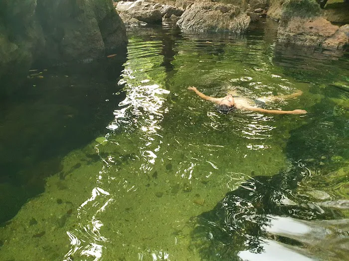 Jungle Pool @ Klang Gates Dam Picture 2
