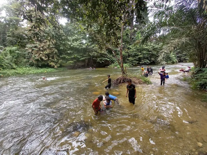 Jungle Pool @ Klang Gates Dam Picture 9