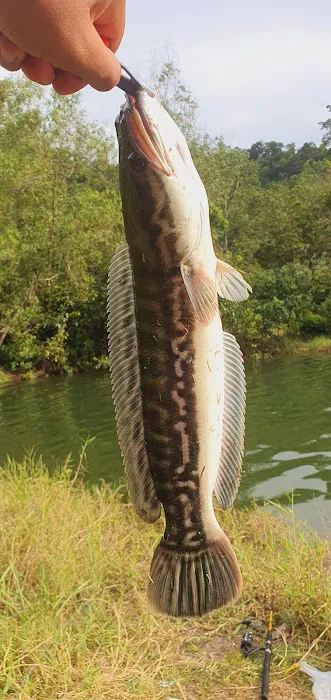 Batu Dam View/Fish Point Picture 1
