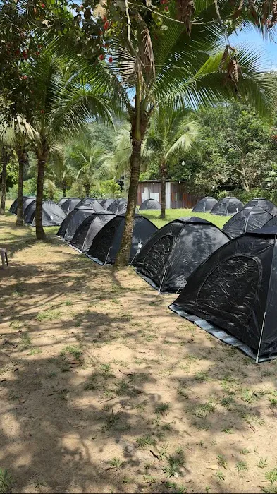 Darul ilmi Campsite Picture 6