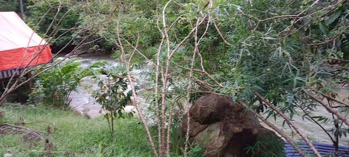 Zoom Bamboo Rimba Enterprise Picture 3