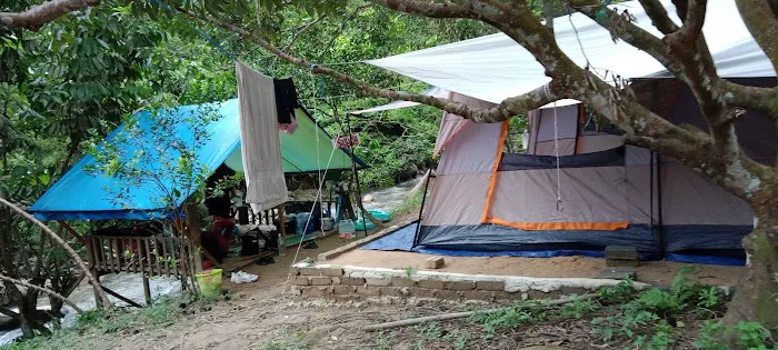 Zoom Bamboo Rimba Enterprise Picture 4