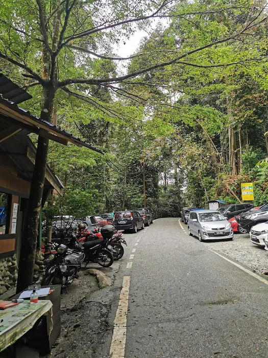 Zoom Bamboo Rimba Enterprise Picture 5