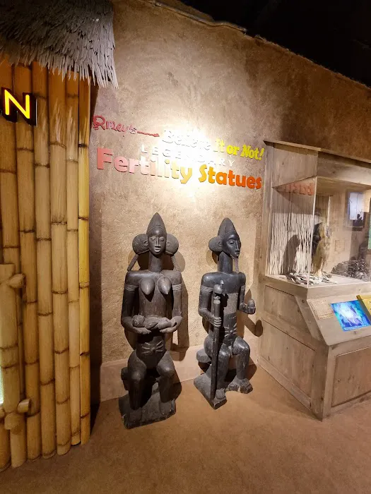 Ripley's Believe It or Not! Picture 9