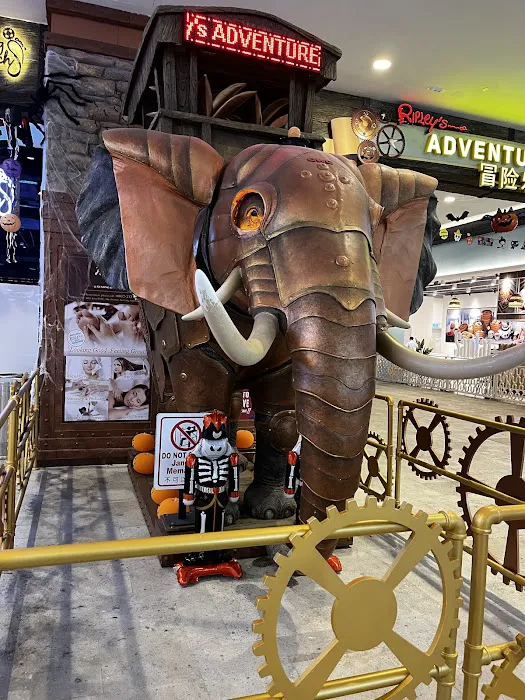 Ripley's Believe It or Not! Picture 4
