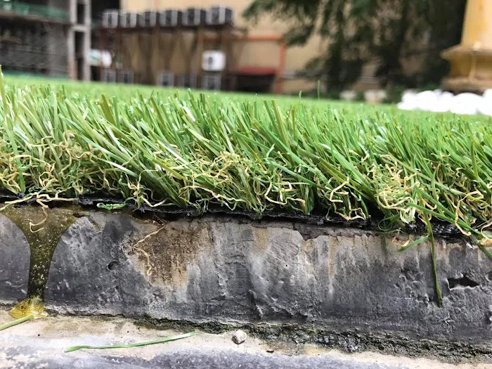 GoGrass Malaysia Picture 10