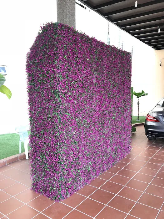 GoGrass Malaysia Picture 8