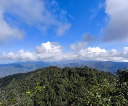 Gunung Gap & Ulu Semangkok Trailhead