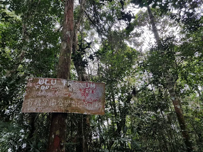 Gunung Gap & Ulu Semangkok Trailhead Picture 5