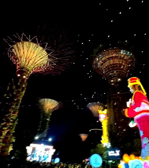 Malaysia Dongva Picture 6