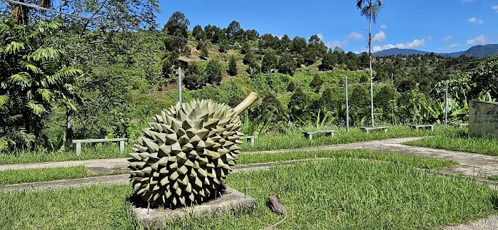 Durian Statue Picture 1