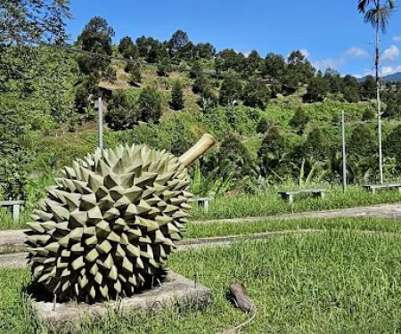 Durian Statue