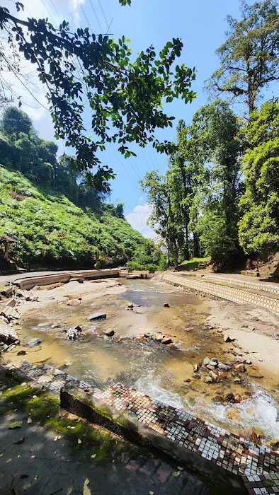 Danau Sinalau Picture 2