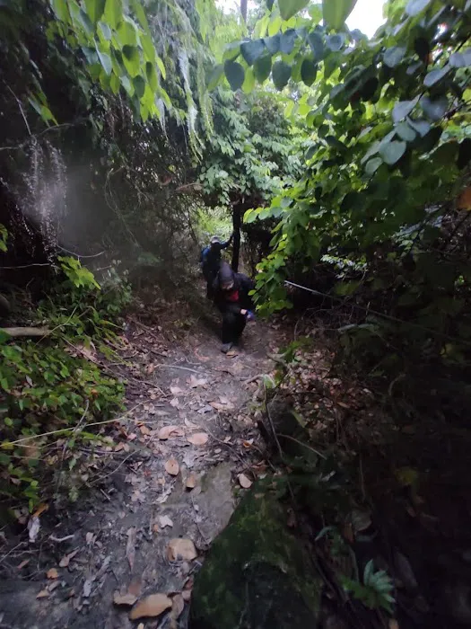 Pertama Trail (Bukit Pudu Ulu) Picture 3