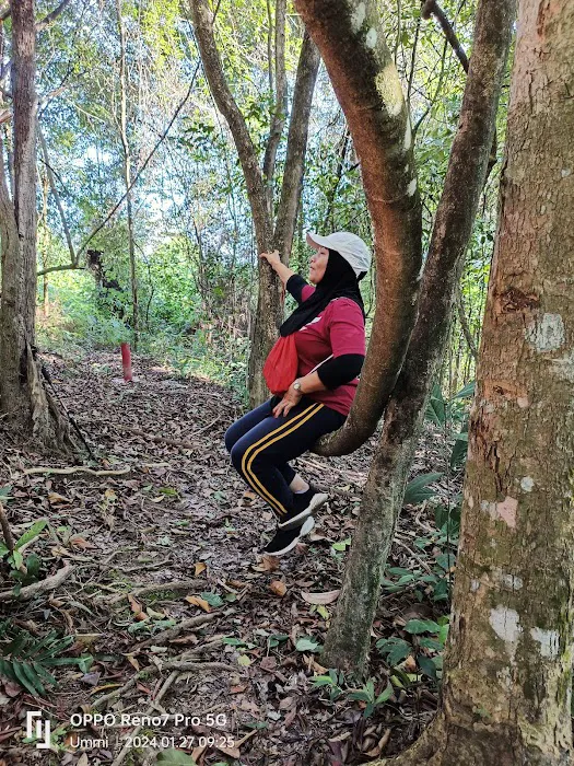 Pudu Ulu Hill's Peak Picture 2