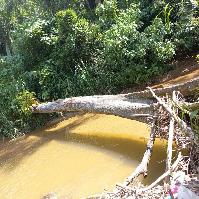 Templer’s Park Falls Picture 1