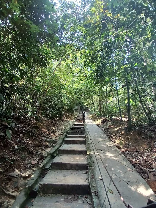 Templer’s Park Falls Picture 7