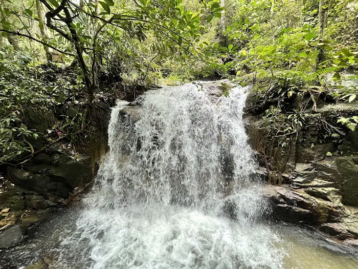 Templer’s Park Falls Picture 10