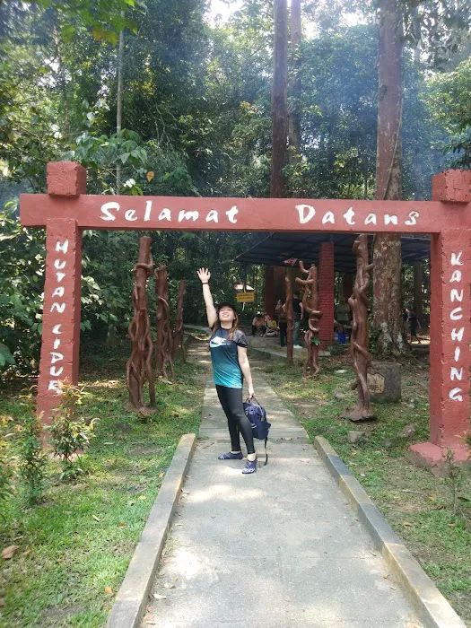 Kanching Waterfalls Picture 10