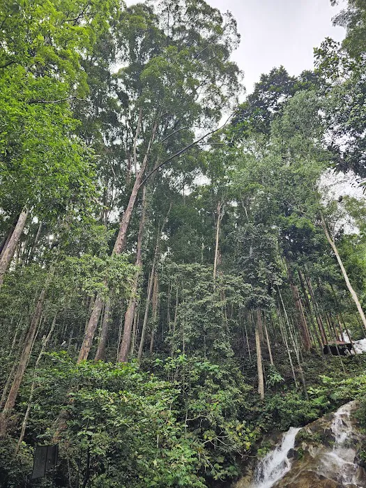Kanching Waterfalls Picture 3