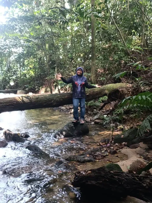 Kanching Waterfalls Picture 8