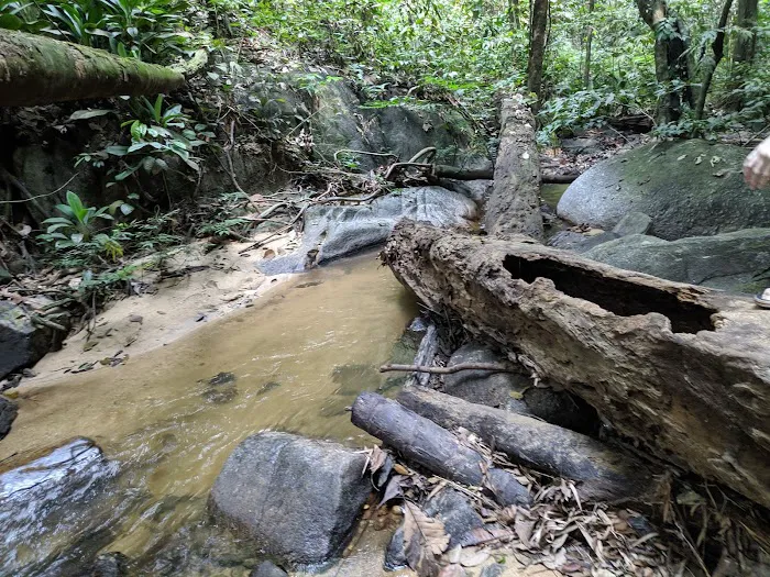 Commonwealth Forest Park Falls Picture 1