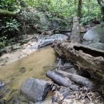 Commonwealth Forest Park Falls