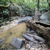 Commonwealth Forest Park Falls ico