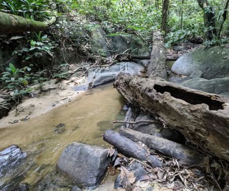 Commonwealth Forest Park Falls