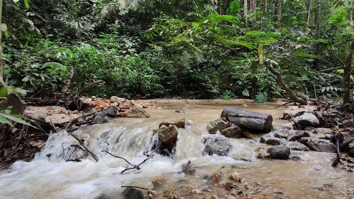 Commonwealth Forest Park Falls Picture 3