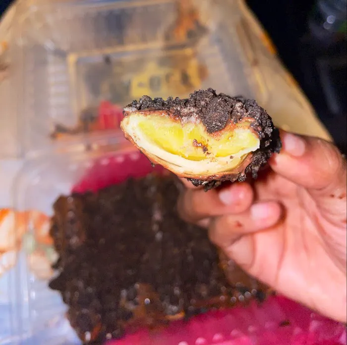 LUXENDRA FOOD MY Picture 9