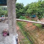 Madrasah Darul Uloom Al-Islamiah Kampung Tanjung Betong