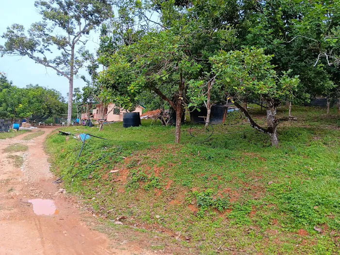 Madrasah Darul Uloom Al-Islamiah Kampung Tanjung Betong Picture 6
