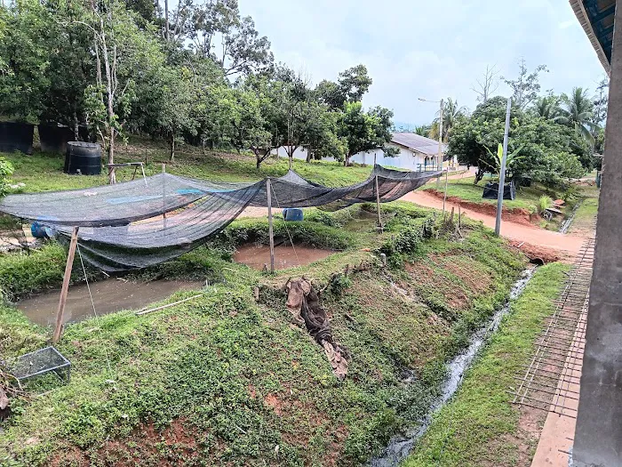 Madrasah Darul Uloom Al-Islamiah Kampung Tanjung Betong Picture 9