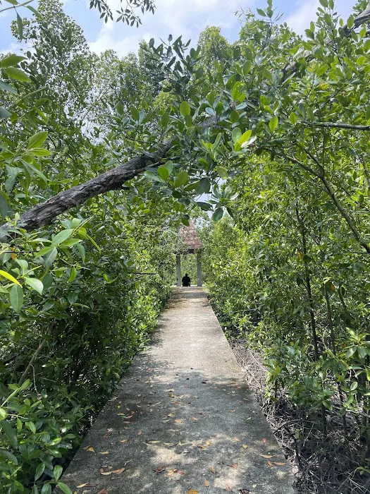 Taman Alam Kuala Selangor Picture 9