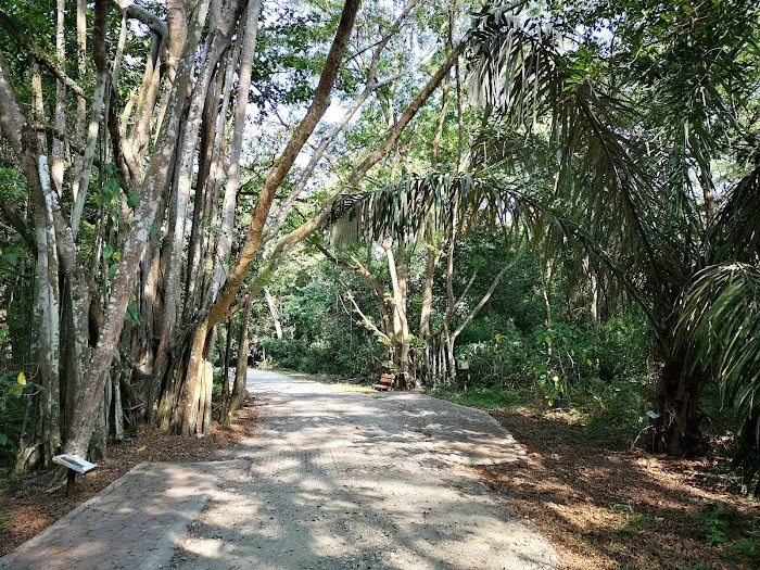 Taman Alam Kuala Selangor Picture 1