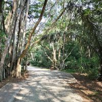 Taman Alam Kuala Selangor ico