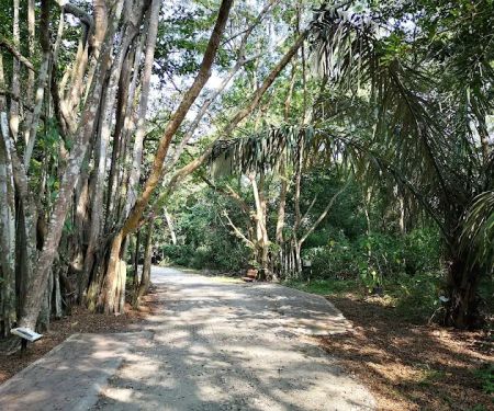 Taman Alam Kuala Selangor