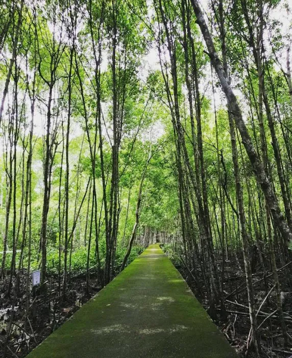 Taman Alam Kuala Selangor Picture 4