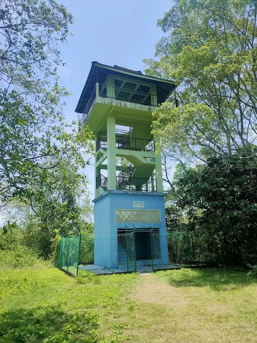 Taman Alam Kuala Selangor Picture 8