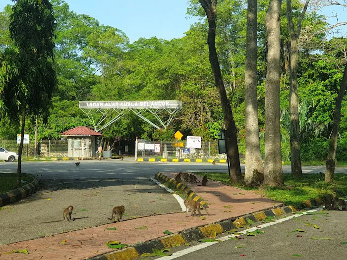 Taman Alam Kuala Selangor Picture 10